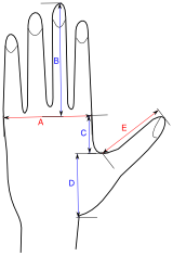 ultimate_gloves/measurements-tmb.png