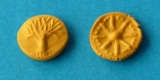 obverse and reverse of an elven coin